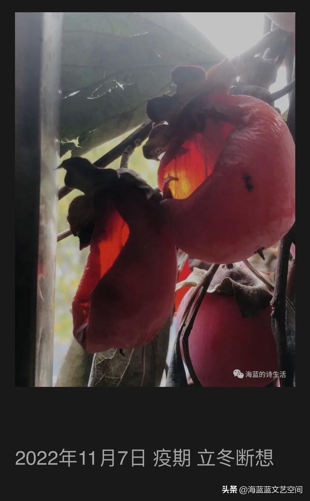 干了这杯爱情的酒再爱一回是什么歌,喝酒的经典幽默句子