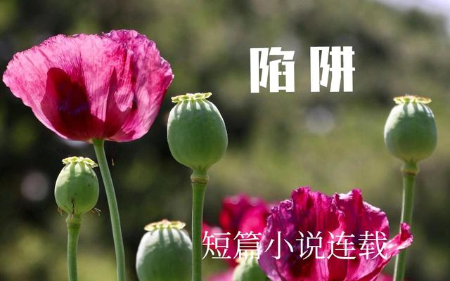 唱陷阱的叫啥名字,陷阱原唱歌词