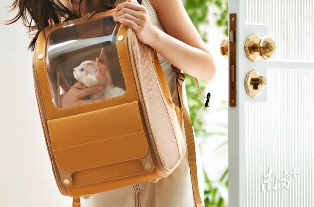 indare设计公司,indare设计公司怎么样