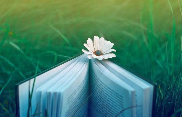 抖音拼音怎么打出来的,抖音拼音怎么打出来的大写