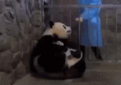 陈三岁本人,陈三岁是谁