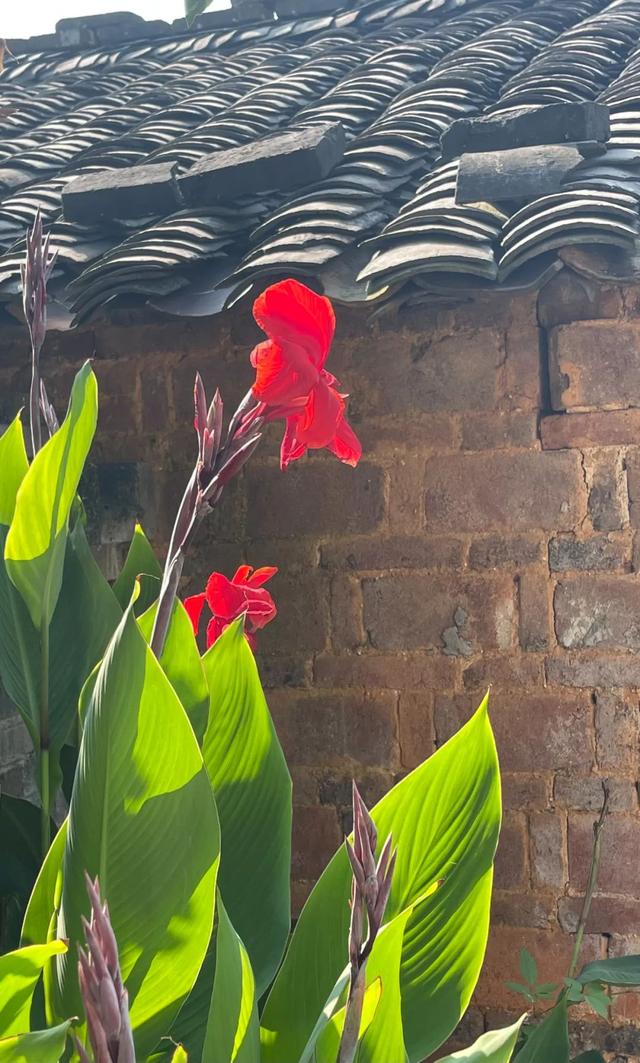 消愁歌词,消愁歌词完整版