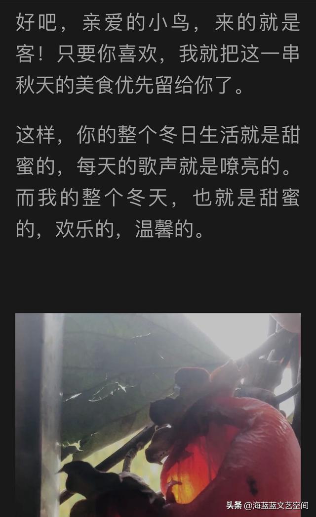 干了这杯爱情的酒再爱一回是什么歌,喝酒的经典幽默句子