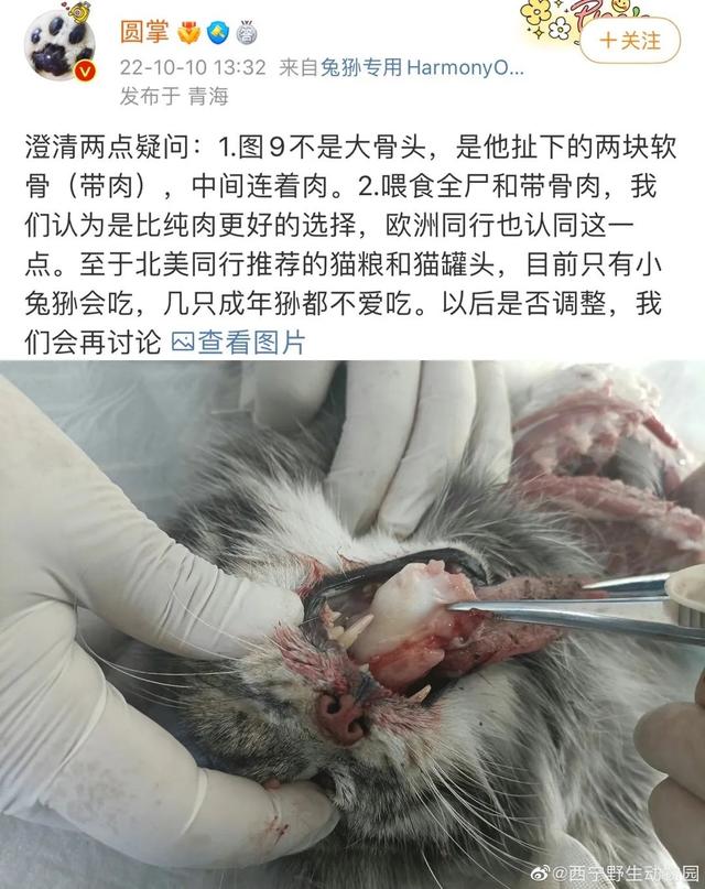 大胃王红姐的减肥药管用吗,大胃王红姐怎么瘦的