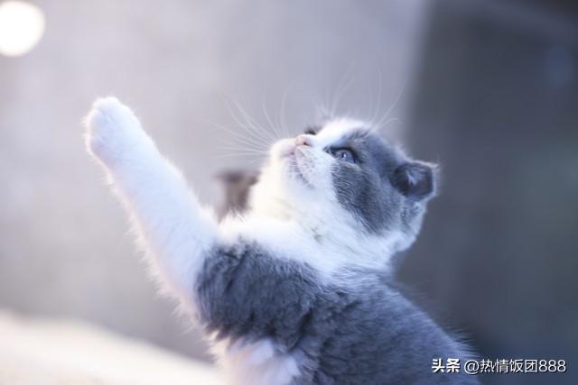 抖音培训班是真的吗还是假的,抖音培训班是真的吗知乎