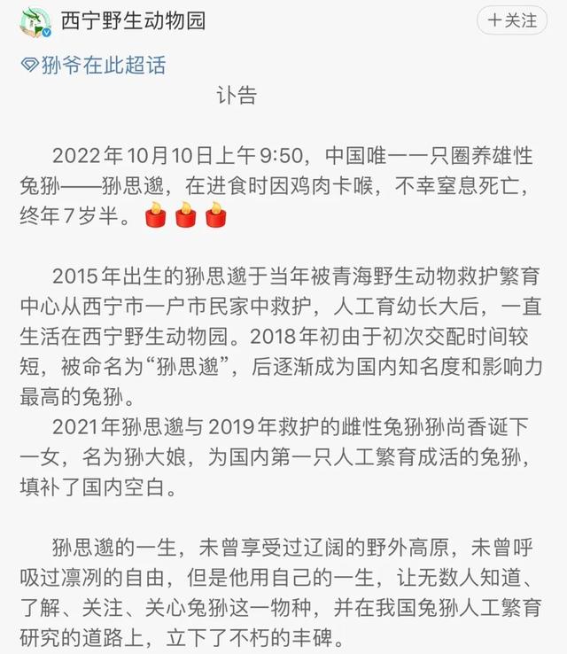 大胃王红姐的减肥药管用吗,大胃王红姐怎么瘦的