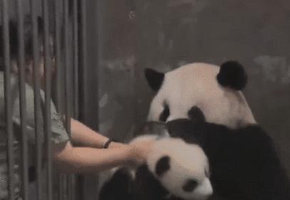 陈三岁本人,陈三岁是谁