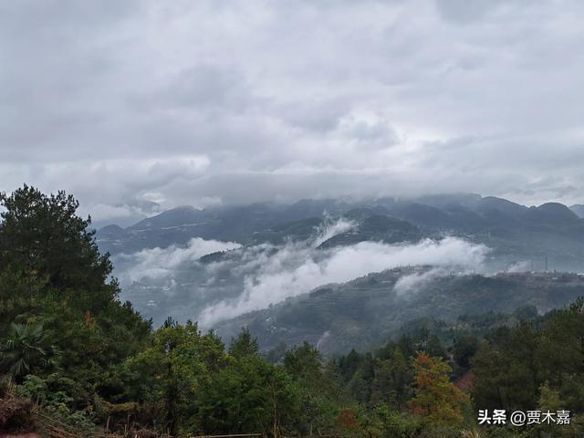 山顶黑狗兄伴奏,山顶一个黑狗兄